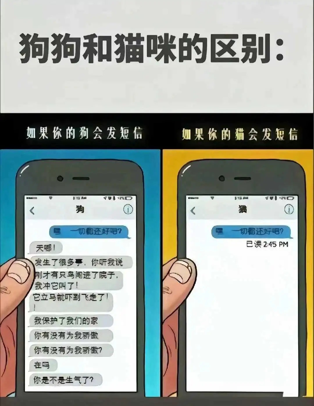西檬之家关于ds关系的深入探讨与实操技巧分享 一