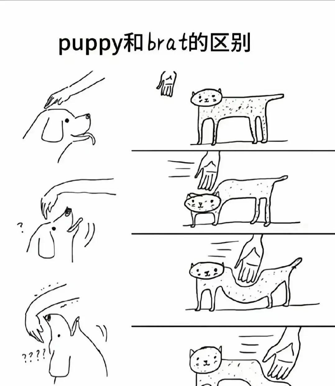 西檬之家2025年m倾向的深入解析与前景展望 一