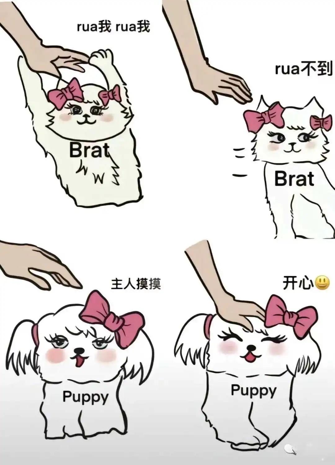 西檬之家字母圈的小圈,你了解吗? 一