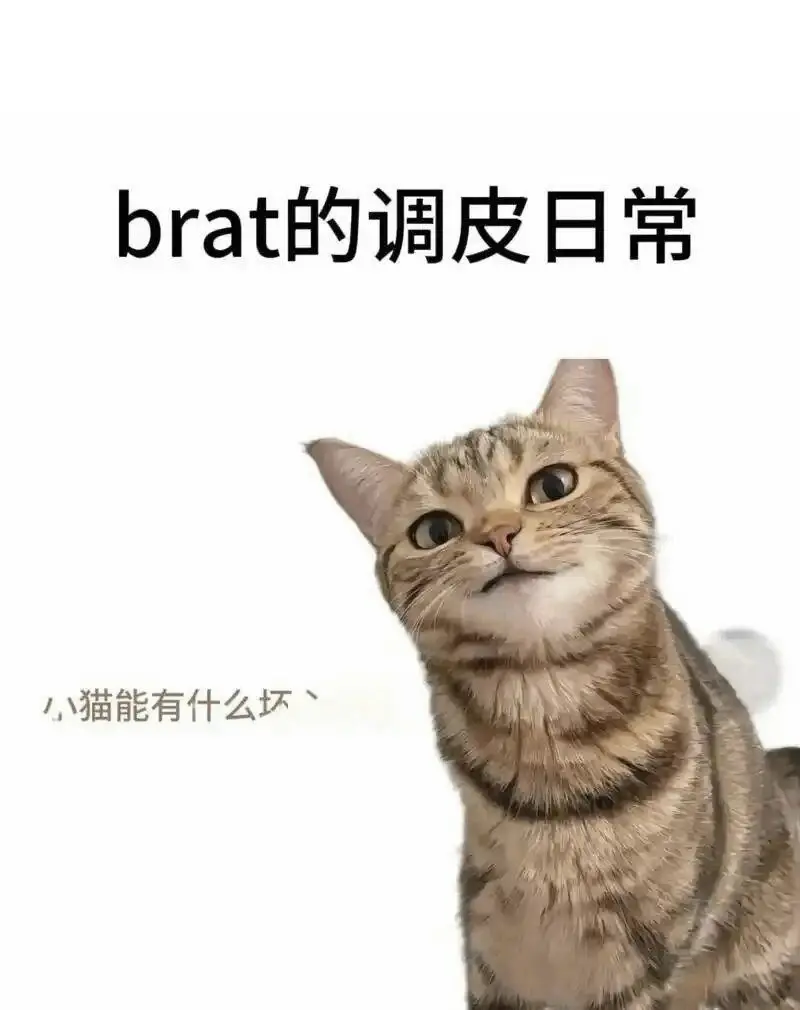 西檬之家字母圈中DOM的权力与责任解析 一