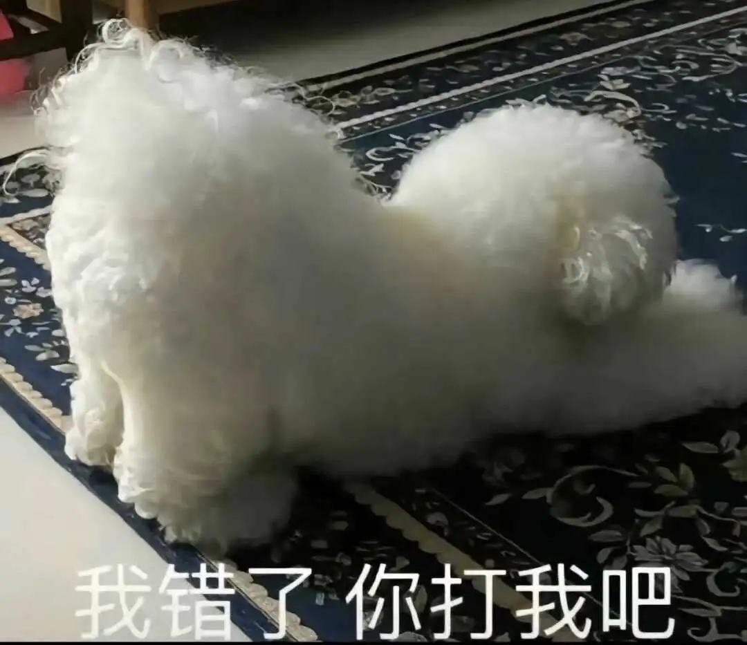 西檬之家k8猫系是什么?揭开字母圈猫系文化的神秘面纱 一