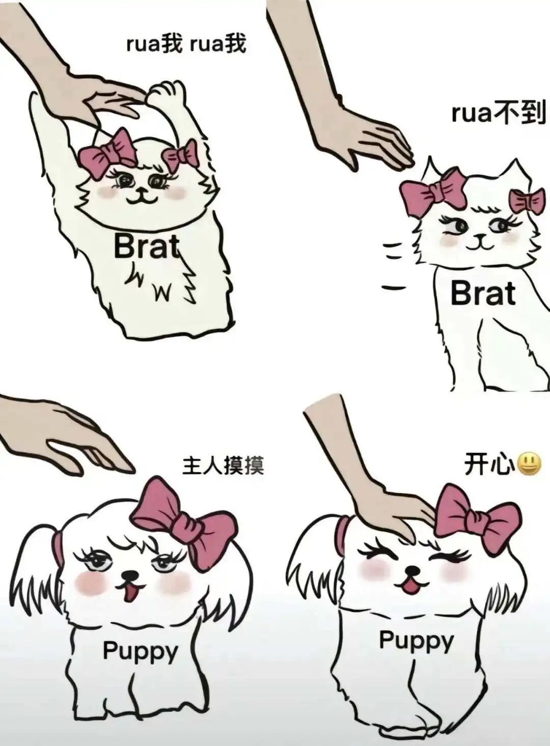 西檬之家K9是什么?揭开字母圈中的神秘面纱 一
