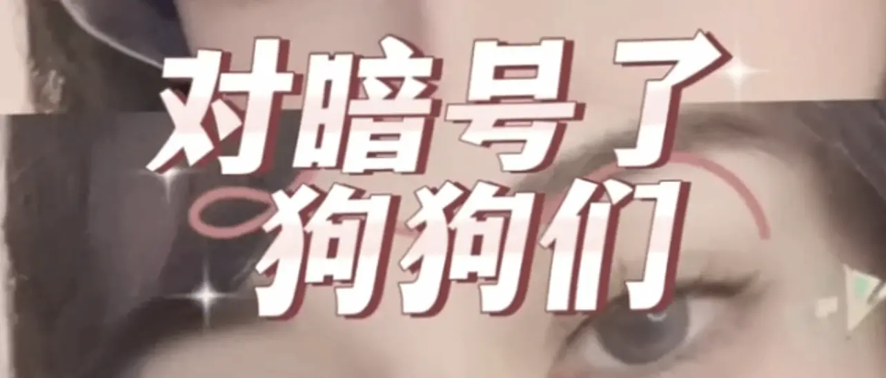西檬之家SM亚文化探索:何为自由与限度的美学? 一