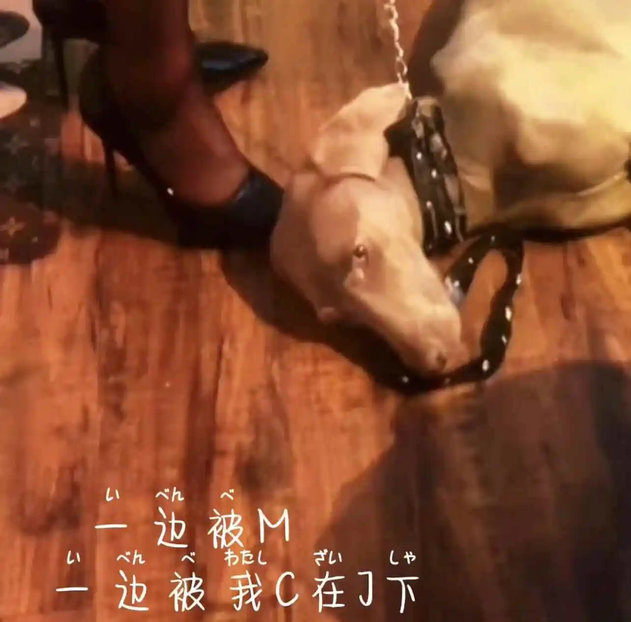 西檬之家字母圈女王的真实面 一